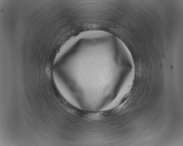 X0000067920086200605041720