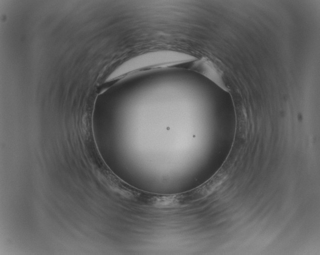 X0000067920088200605041720