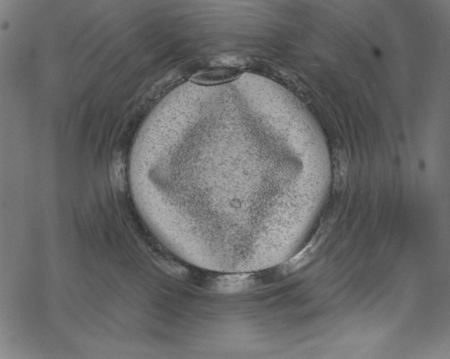 X0000067920090200605041720