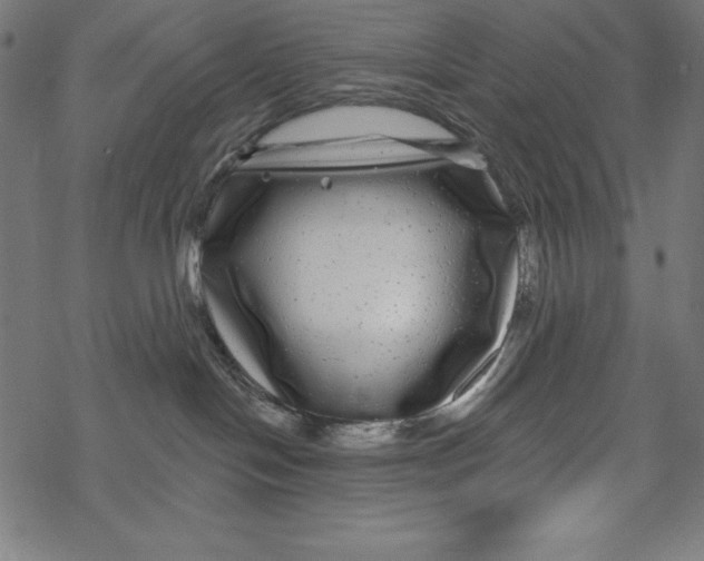 X0000067920094200605041720