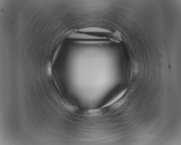 X0000067920095200605041720