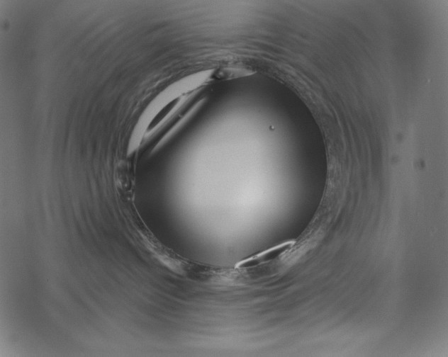 X0000067920096200605041720