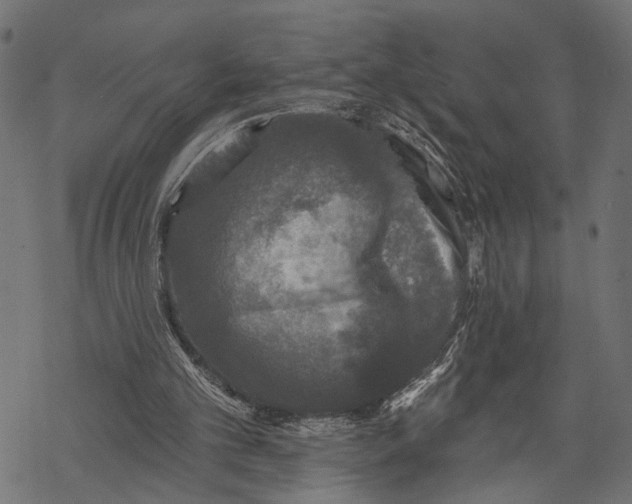 X0000067920101200605041719