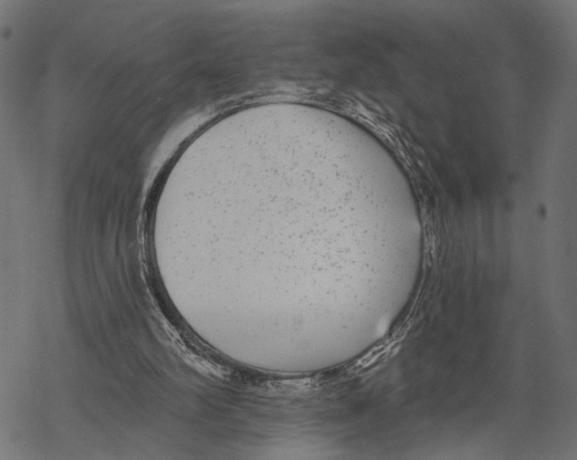 X0000067920102200605041719
