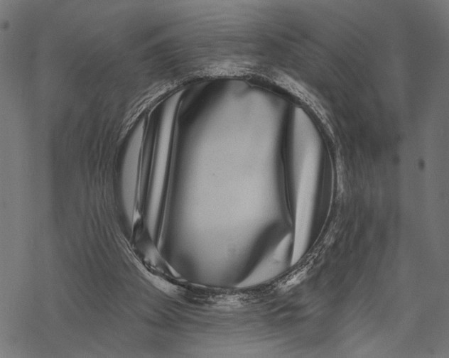 X0000067920105200605041719