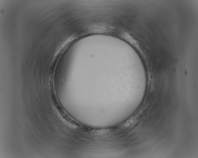 X0000067920106200605041719
