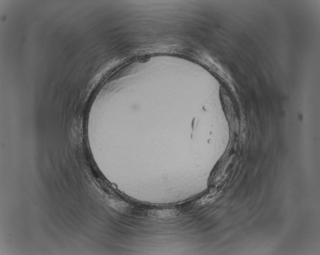 X0000067920107200605041719