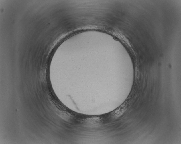 X0000067920108200605041719