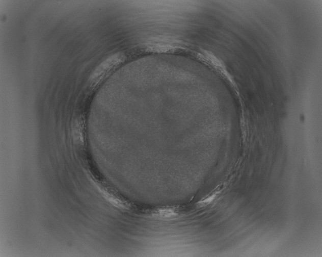 X0000067920114200605041719
