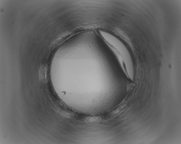 X0000067920115200605041719
