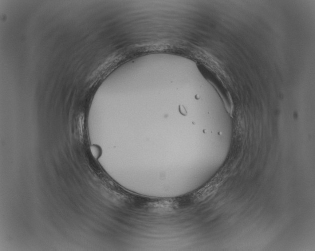 X0000067920118200605041719