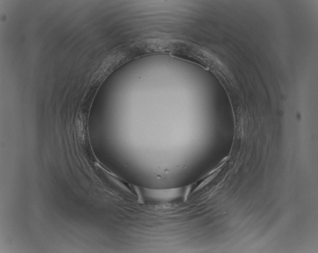 X0000067920121200605041719