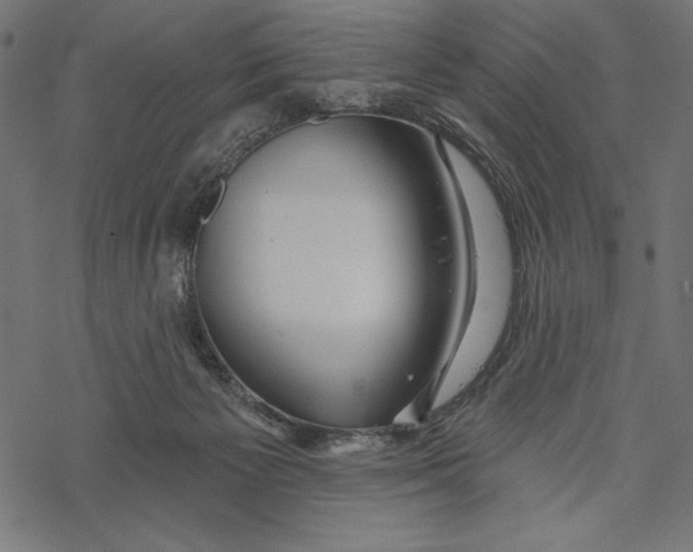 X0000067920125200605041719