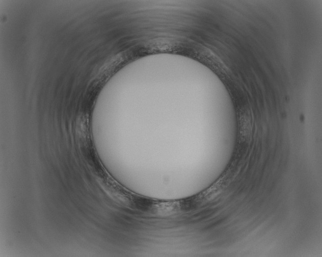 X0000067920126200605041719