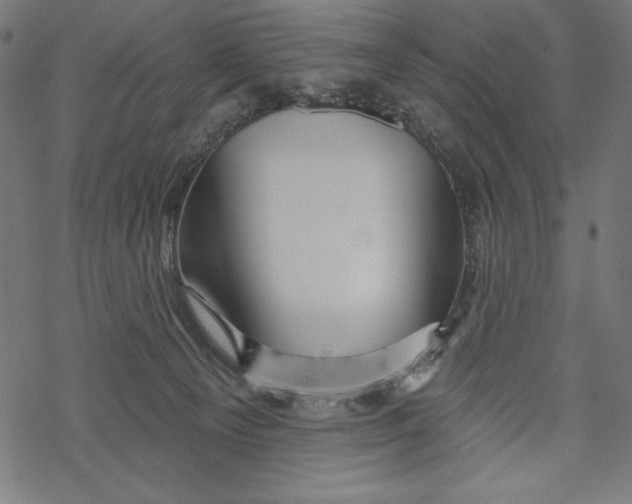 X0000067920129200605041719