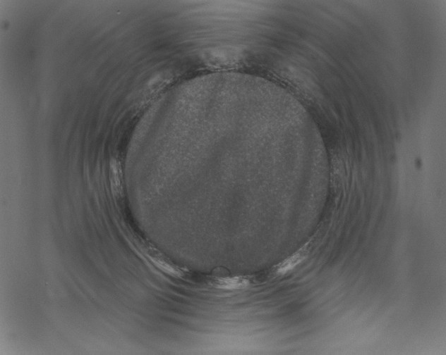 X0000067920130200605041719