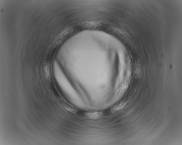 X0000067920131200605041719