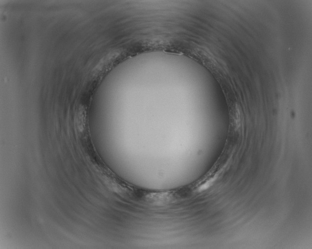 X0000067920133200605041719