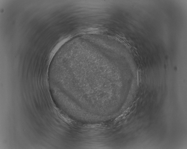 X0000067920147200605041718
