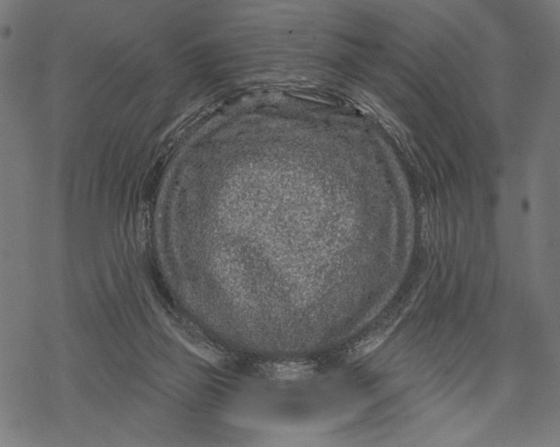 X0000067920165200605041718