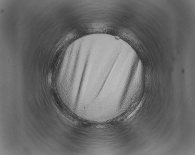 X0000067920166200605041718