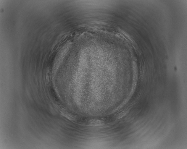 X0000067920169200605041718