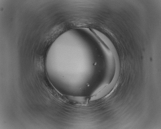 X0000067920170200605041718