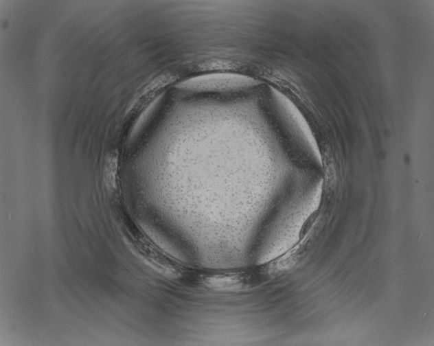 X0000067920171200605041718