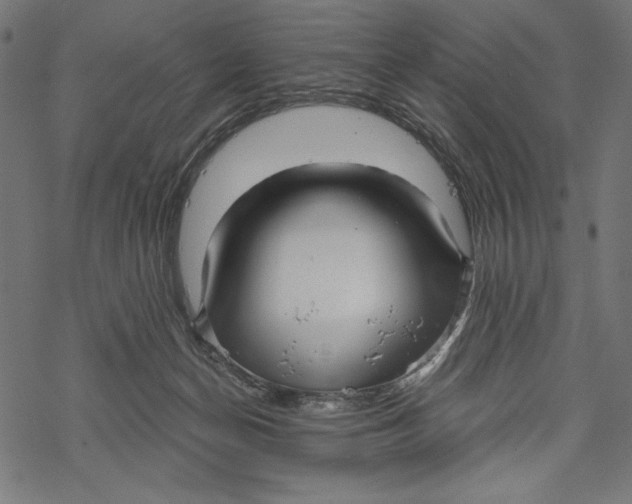 X0000067920174200605041718
