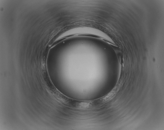 X0000067920176200605041718
