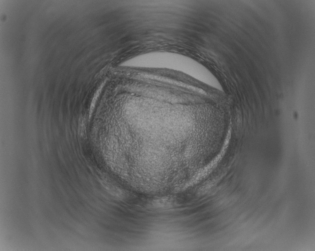 X0000067920177200605041718