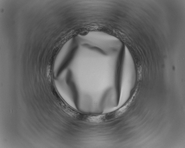 X0000067920178200605041718