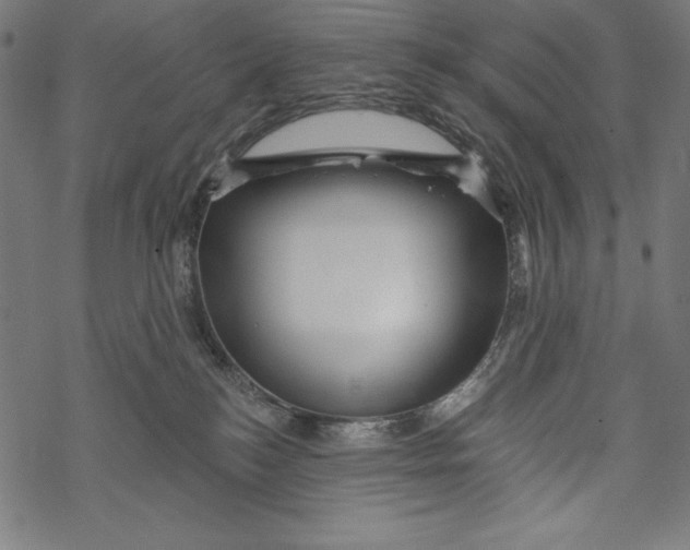 X0000067920184200605041718