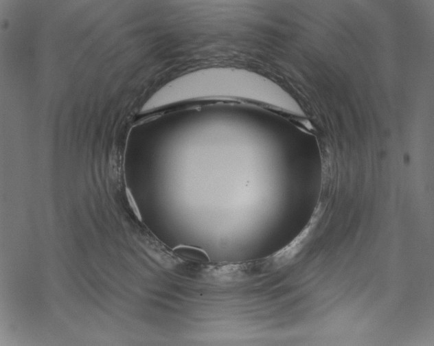 X0000067920186200605041718