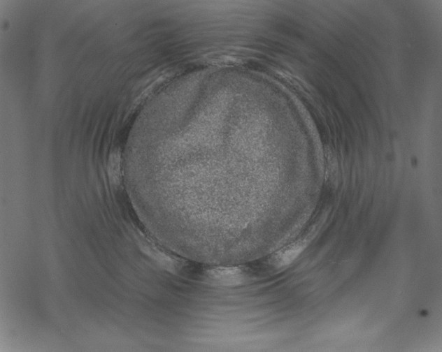 X0000067920189200605041718