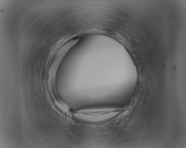 X0000067920193200605041718