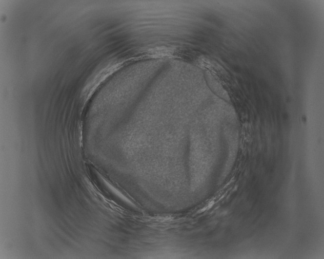 X0000067920194200605041718