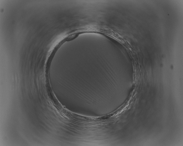 X0000067920200200605041718