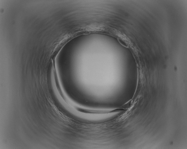 X0000067920201200605041718