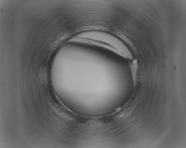 X0000067920207200605041717