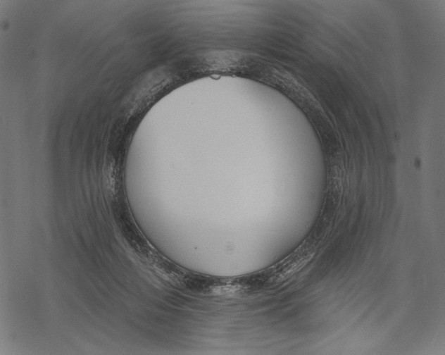 X0000067920216200605041717