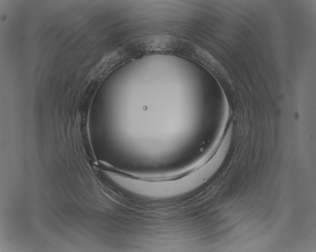 X0000067920217200605041717