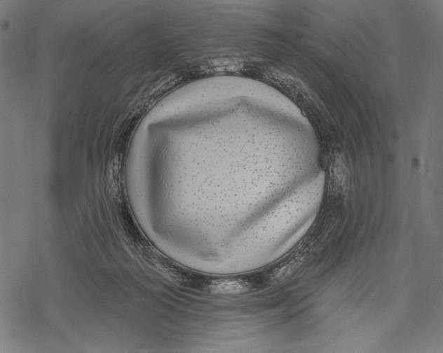 X0000067920218200605041717