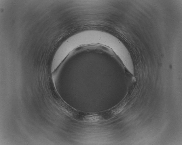 X0000067920219200605041717