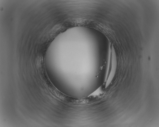 X0000067920225200605041717