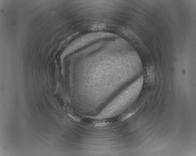 X0000067920228200605041717