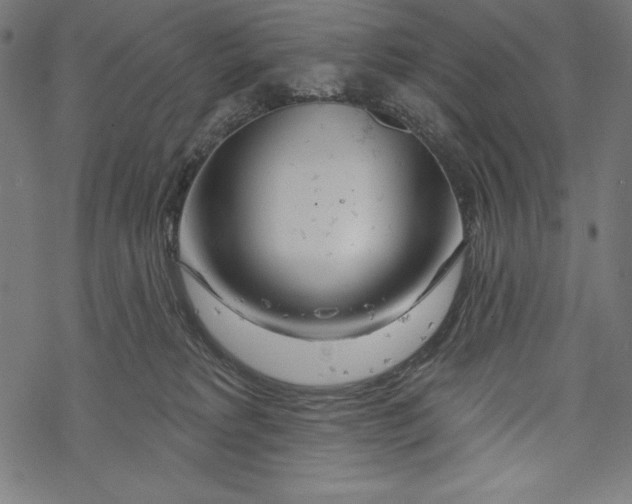 X0000067920229200605041717