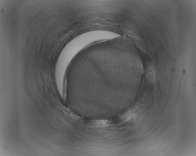 X0000067920233200605041717