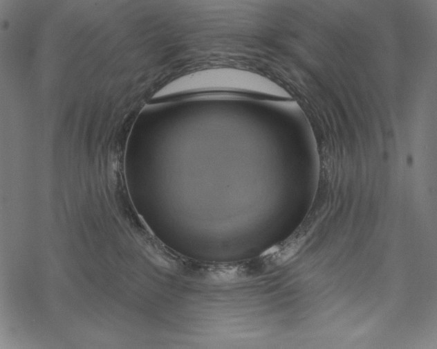 X0000067920235200605041717