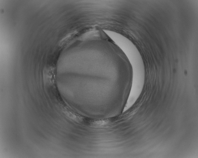 X0000067920237200605041717